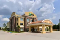 Holiday Inn Express & Suites HOUSTON NW - TOMBALL AREA by IHG - Swimmingpools