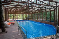 Chillaru Spa & Resort - Pool