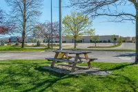 Quality Inn & Suites - 2 stjerner