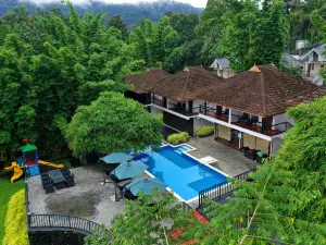 Athirapally Green Trees