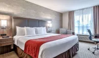 Comfort Inn & Suites Airport South Các khách sạn ở Calgary