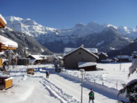 Aegertenstrasse 10 Hotels in Lenk