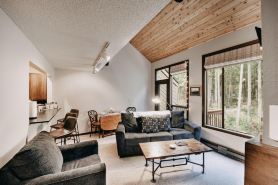 Condo - Pets OK - Fireplace, Sleeps 4!