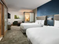 達拉斯DFW機場南中心港萬豪SpringHill Suites酒店 沃思堡酒店