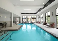 Hampton Inn & Suites Dallas-DFW Arpt W-SH 183 Hurst - Pools