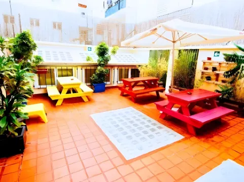 Purple Nest Hostel Отели в г. Валенсия