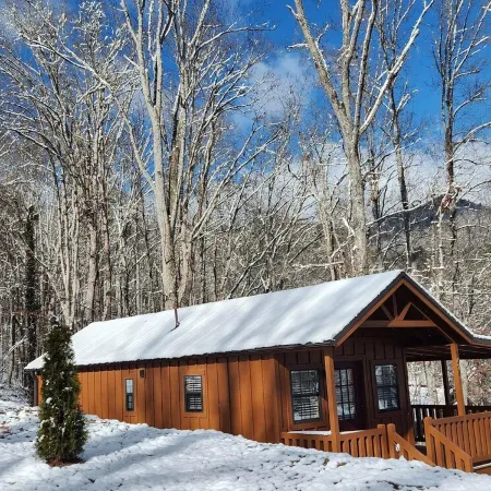 Tiny Hideaway Cabin mins. from Downtown Bryson City and Deep Creek National Park