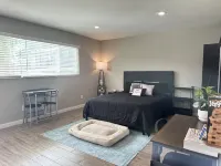 Cozy Downtown Montrose Studio!Free Parking! With WIFI!