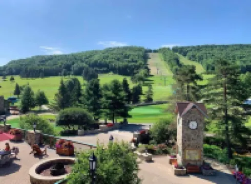 Updated townouse across from Holiday Valley - walk to ski lifts, pool and golf .