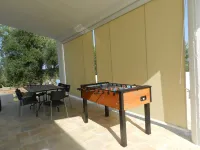 Perfect Oasis Among Olive Trees and Private Pool, for an Authentic Experience!