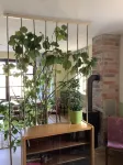 Vacation apartment Sommerfrische