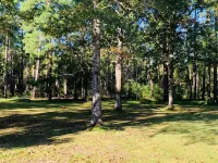 Outdoormen’s Paradise on Lake Sam Rayburn adjoining Angelia National Forest
