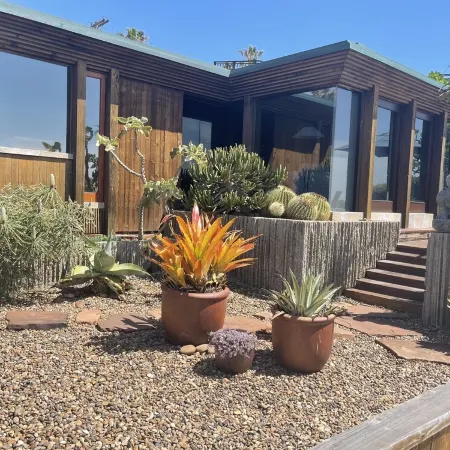 Architectural Masterpiece on Windansea Beach - Family and Pet Friendly!