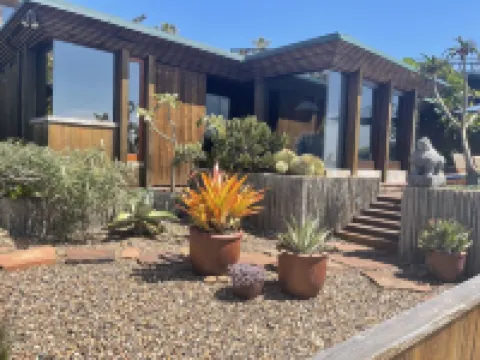 Architectural Masterpiece on Windansea Beach - Family and Pet Friendly!