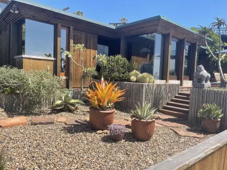 Architectural Masterpiece on Windansea Beach - Family and Pet Friendly!