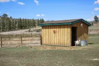 Peaceful country setting close to city comforts - hot tub and goat family onsite