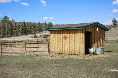 Peaceful country setting close to city comforts - hot tub and goat family onsite Отели в г. Дуглас