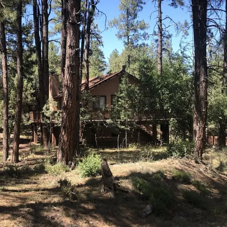 Privacy! One  & 1/2 acre with wrap around deck. Backs the National Forest.