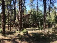 Privacy! One  & 1/2 acre with wrap around deck. Backs the National Forest.