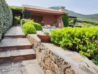 Villa Tavolara a small paradise with swimming pool Hotels near Quarta Spiaggia