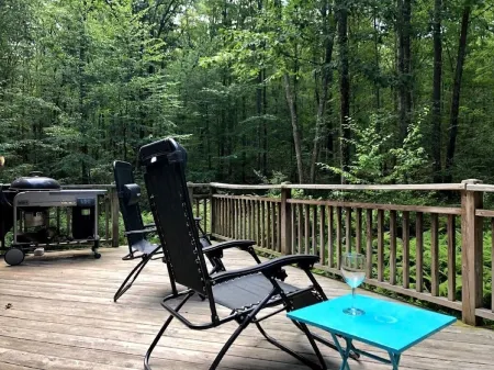 Peaceful woodsy retreat with stream and hiking on property / near Bethel Woods Отели в г. Кошектон