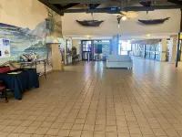 Oceanfront Studio1st floor- Pools Open - Hawaiian Inn