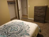 Desert Oasis of Tucson. Charming 3-bedroom home w/ gazebo and swimming pool
