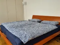 Spacious apartment in a small 50s villa with large garden and fireplace Hotels in Langen