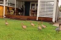 Ducks Bungalow- Lake Macquarie Hotels in Marks Point