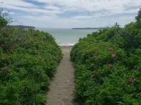 Walk to Campobello & Beach/Weekly Discount/Pets Welcome/Water Views /Fire Pit Hotels in Lubec