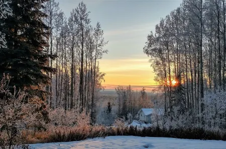 Cozy Alaskan Cabin, with rare Northern Lights views...