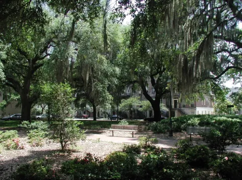 Elegant & Sunny 1 Bedroom Chatham Sq Apt Historic District