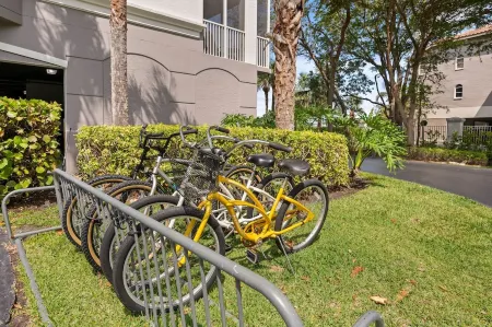 The Fitz - Stylish 3Br, 2Ba with pool.  Walk to beach. Great views.