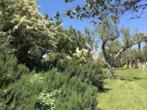 Luxury villa/ Private Heated Pool / Private Garden Hotels in Partanna