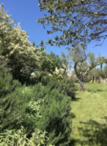 Luxury villa/ Private Heated Pool / Private Garden