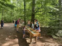 Cozy apartment "Bückli" in the Ortlieb house
