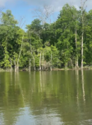 Water front Lake of the Ozarks Studio Apartment