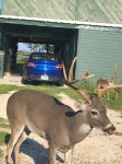 Relaxing fishing and hunting getaway 1 bock from the water