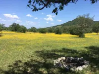 Secluded Ranch Cabin Between Garner and Lost Maples