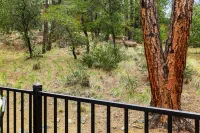 Family READY!!!! 4 U Hotels in Ponderosa Park