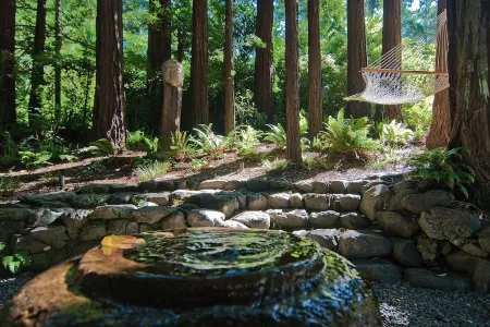 Luxury Redwoods Estate Compound w/ Hot Tub and Fire Pit
