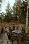 Cozy Cabin+Dogs Welcome+Hurricane Ridge+Olympic National Park