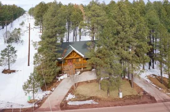 CUSTOM BUILT HOME IN THE HEART OF PINETOP- FENCED-PETS WELCOME