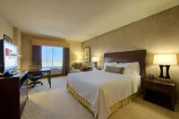 Hilton Garden Inn DFW North Grapevine Hotels in Grapevine