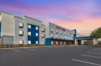 Hampton Inn & Suites Dothan - piscina