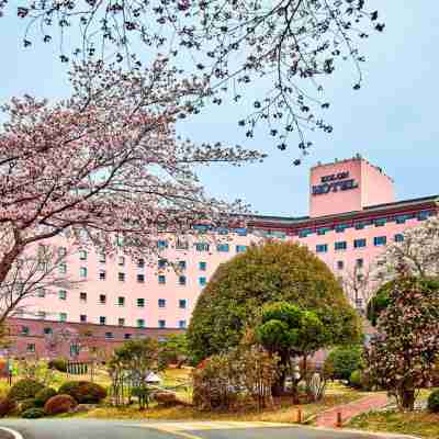 코오롱호텔 Hotel Exterior
