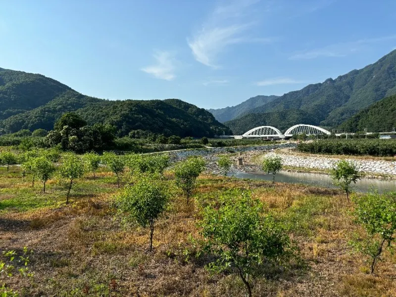 Mungyeong Gentle Pet Paradise - Mungyeong-si