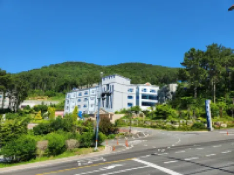 거제돔관광호텔  호텔
