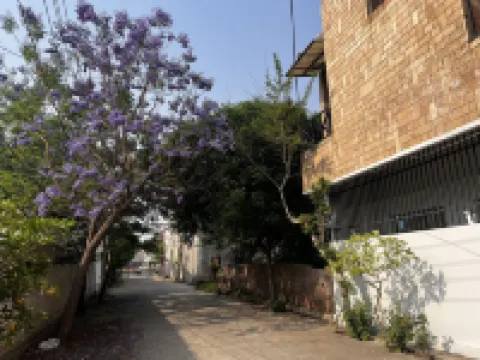 綠色背包客旅館