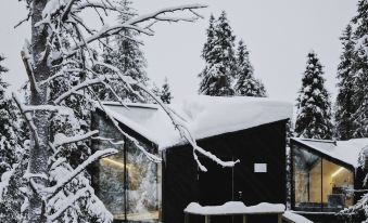 Magical Pond Nature Igloos